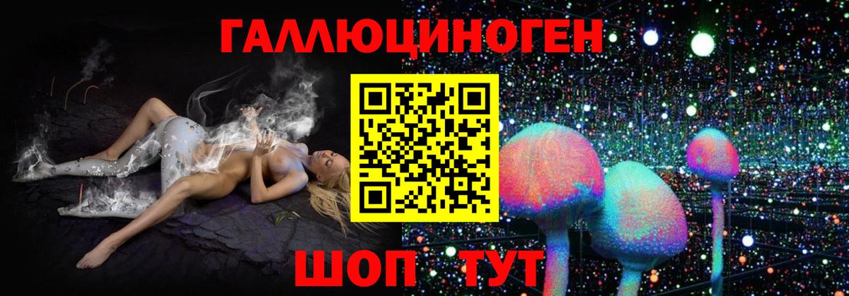 МДМА Заводоуковск